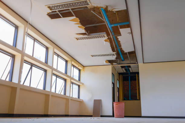 Best Commercial water damage restoration  in Honaker, VA
