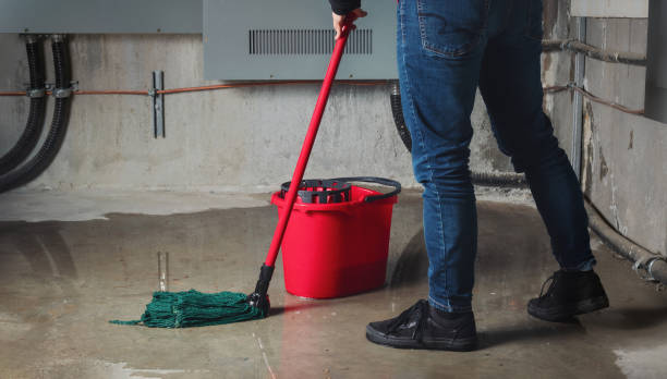 Best Water damage restoration company  in Honaker, VA