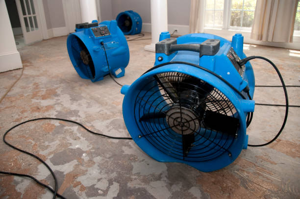 Best Professional water damage repair  in Honaker, VA