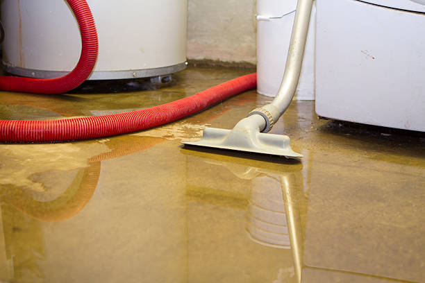 Best 24-hour water damage restoration  in Honaker, VA