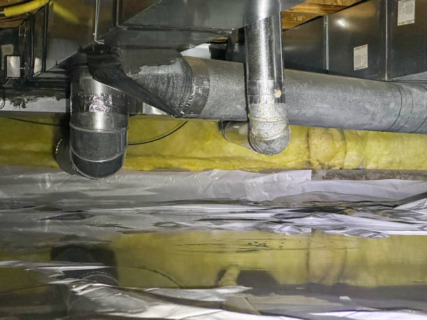 Best Basement water damage restoration  in Honaker, VA