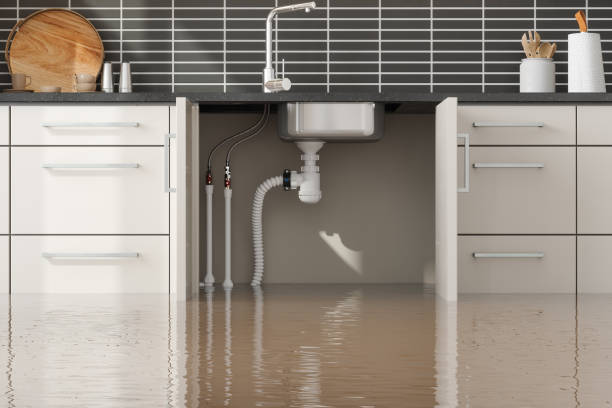 Best Water damage restoration services  in Honaker, VA