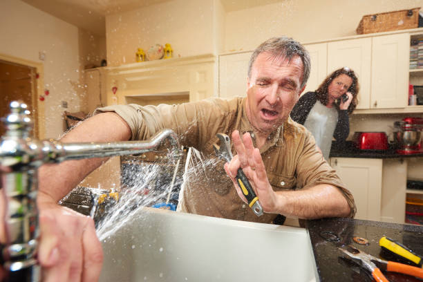 Best Flood damage cleanup  in Honaker, VA